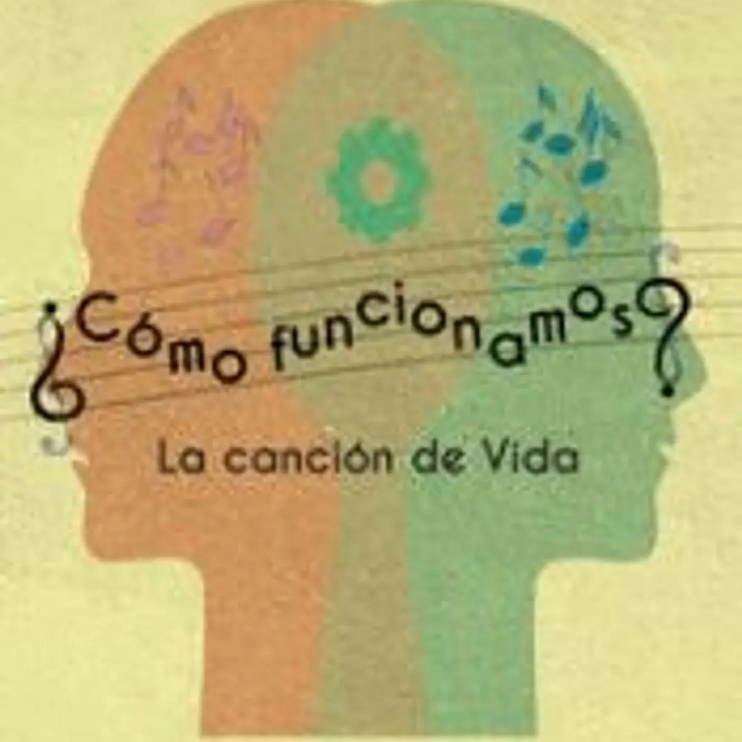 ¿Cómo funcionamos? 1