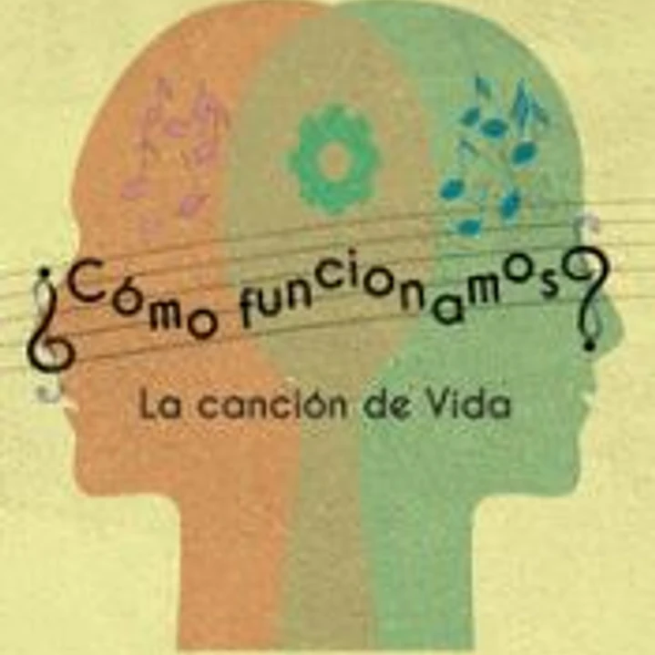 ¿Cómo funcionamos? 1