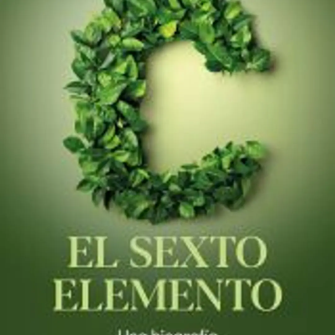 Carbono, el sexto elemento 1
