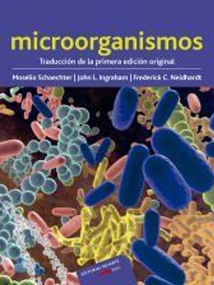 Microorganismos