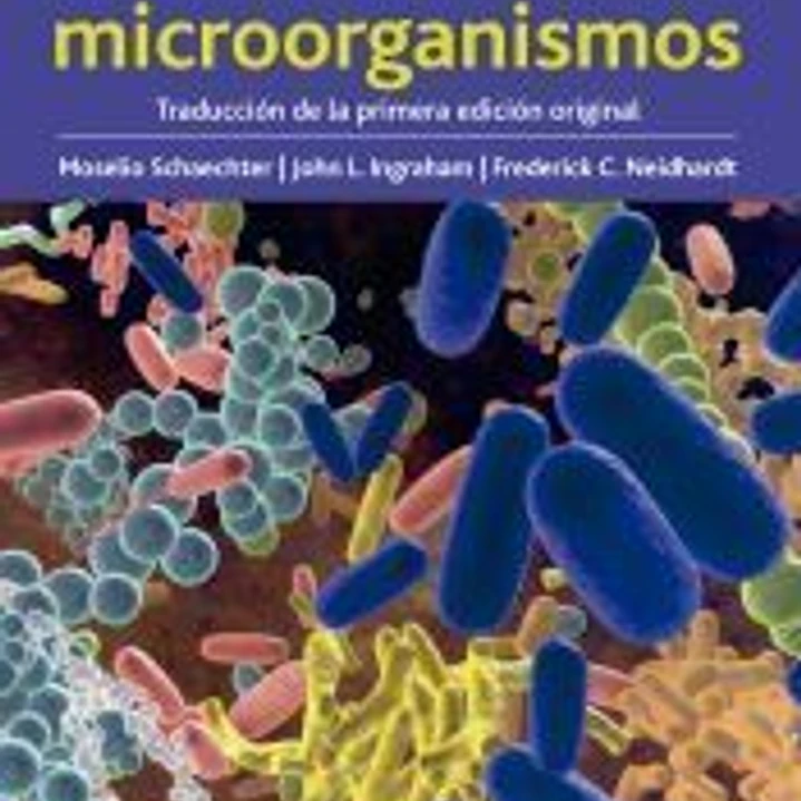 Microorganismos 1