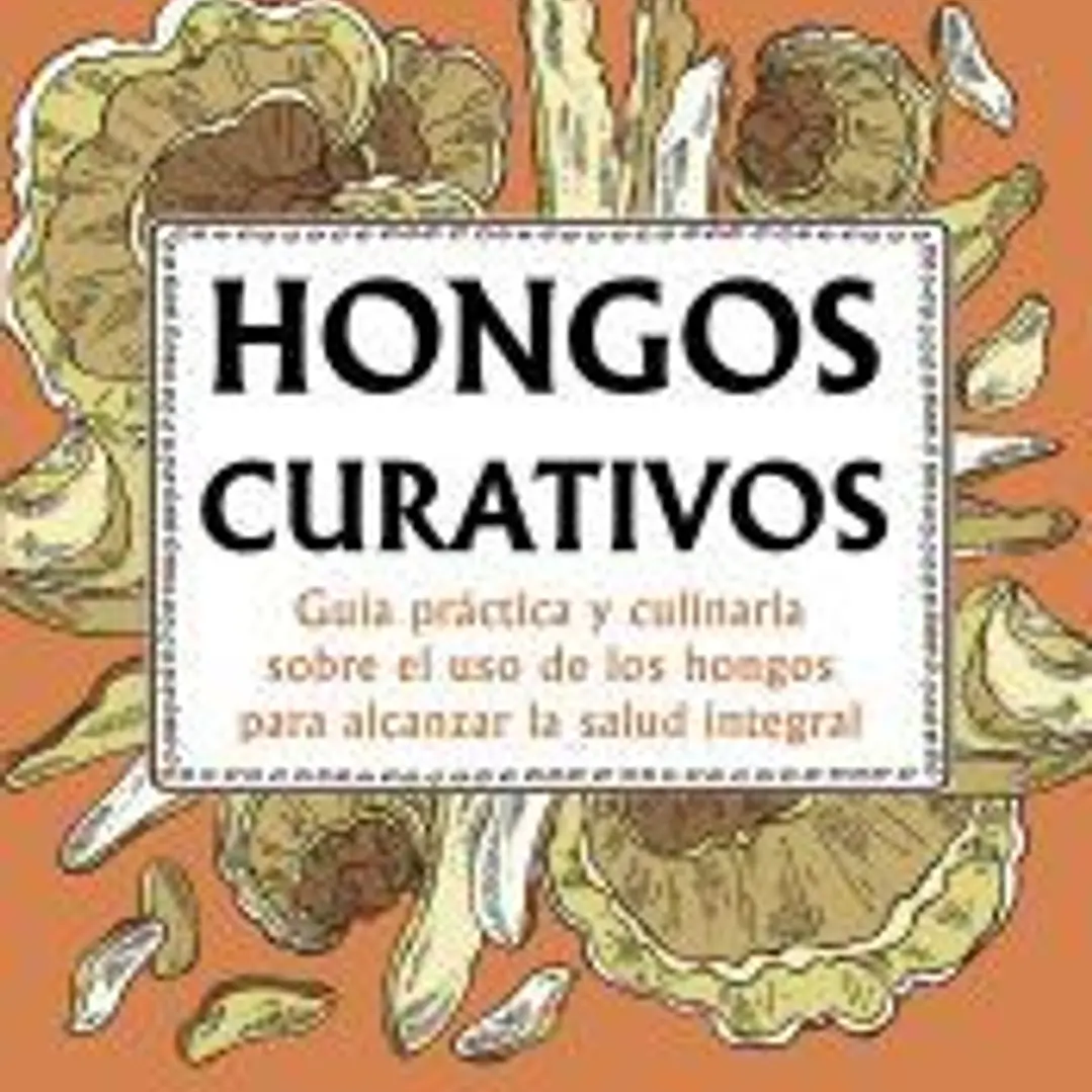 Hongos curativos 1