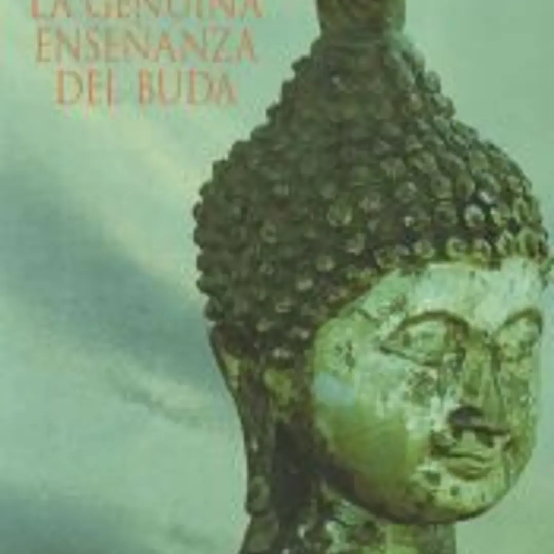 LA GENUINA EXPERIENCIA DEL BUDA 1