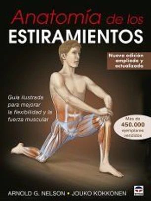 Anatomía de los estiramientos