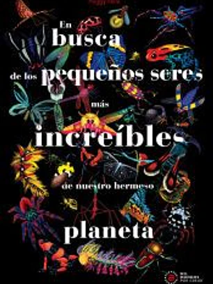 En busca de los pequeños seres más increíbles de nuestro hermoso planeta