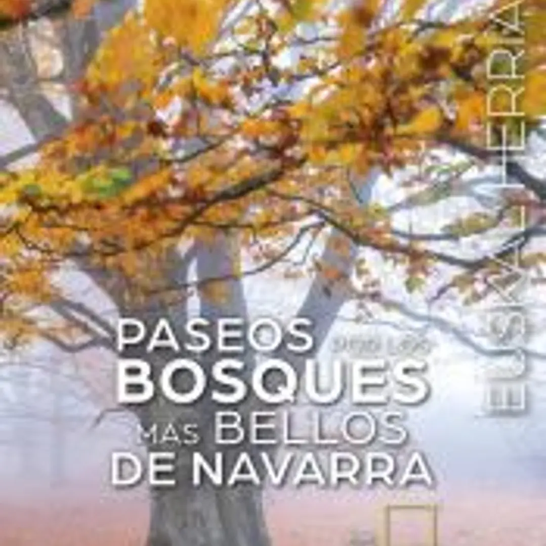 PASEOS POR LOS BOSQUES MAS BELLOS DE NAVARRA 1