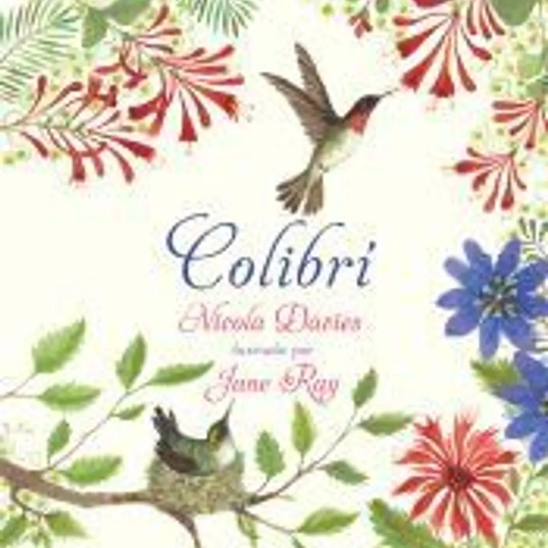 Colibrí 1