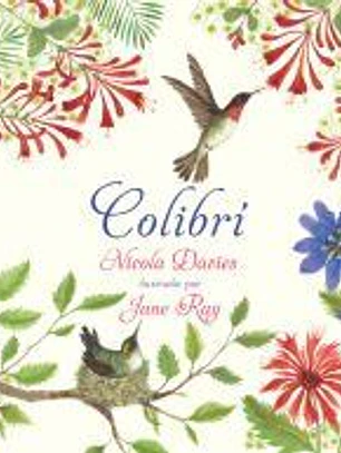 Colibrí
