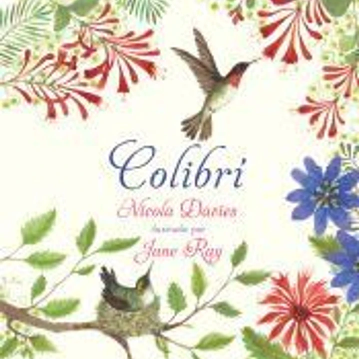 Colibrí 1