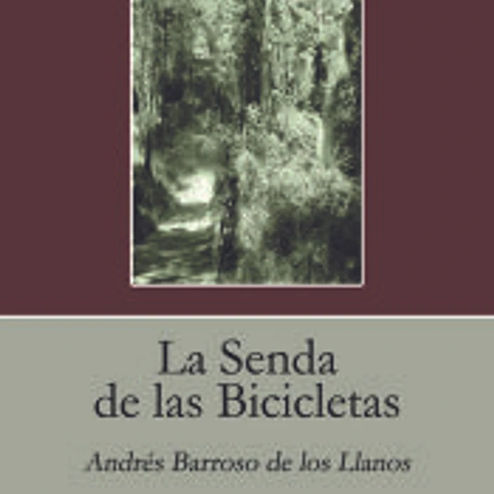 La Senda de las Bicicletas 1