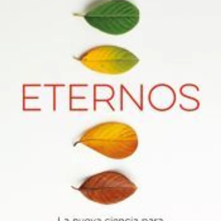 Eternos 1