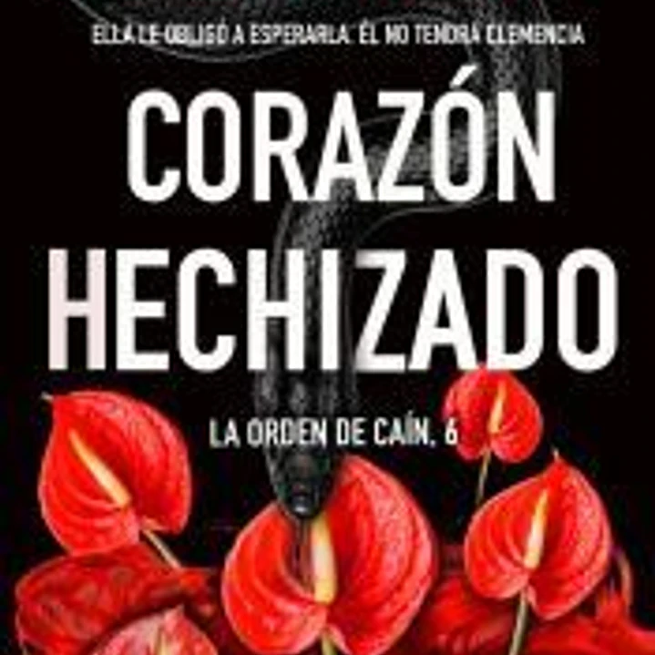 Corazon hechizado 1