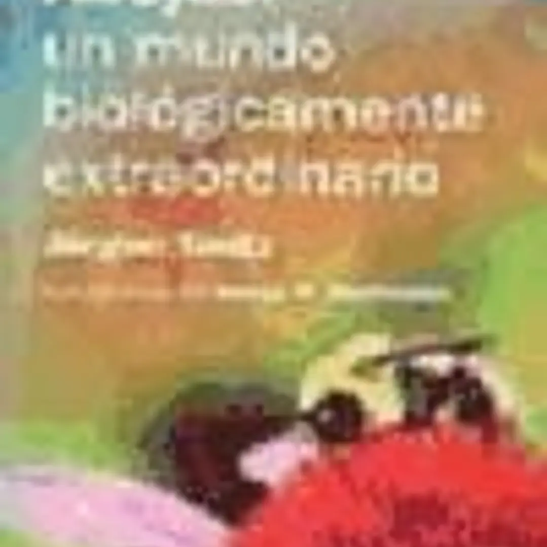 Abejas: un mundo biológicamente extraordinario 1