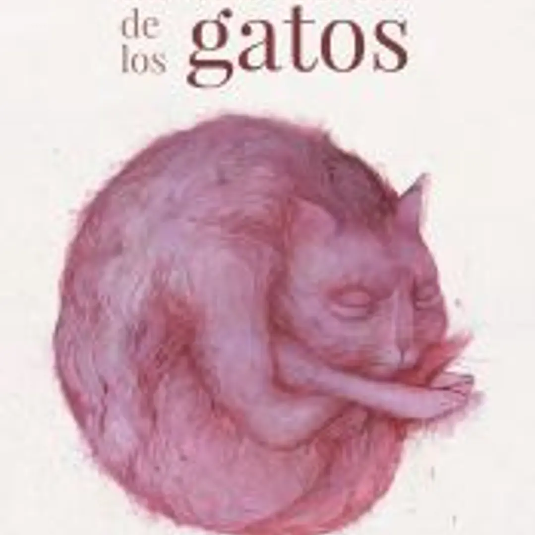 La vida secreta de los gatos 1