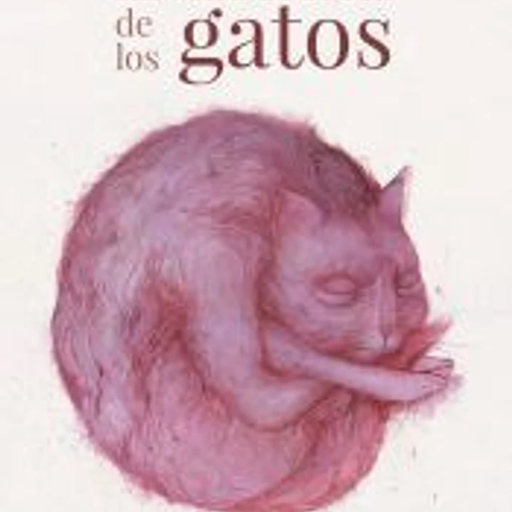 La vida secreta de los gatos 1