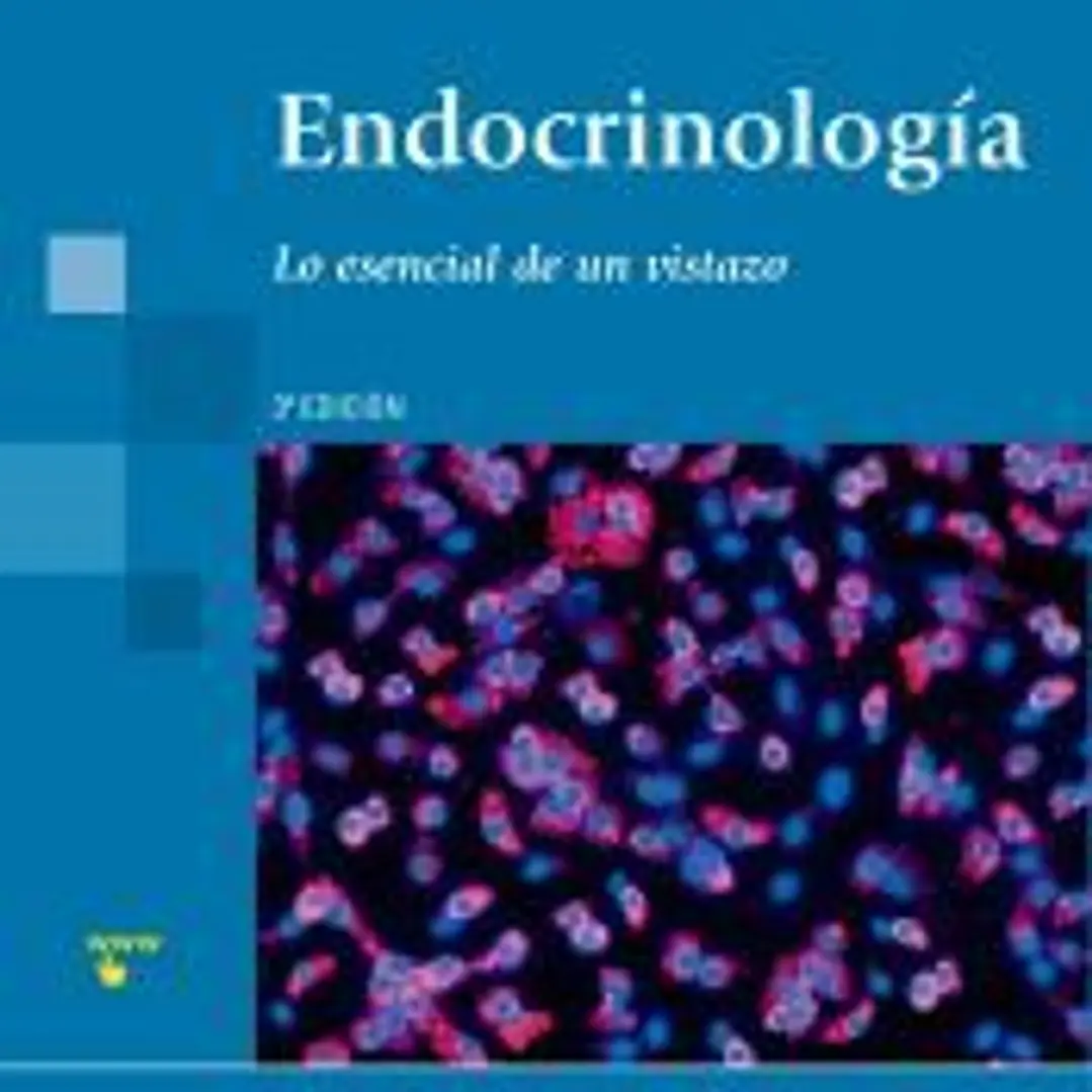 EL SISTEMA ENDOCRINO 1