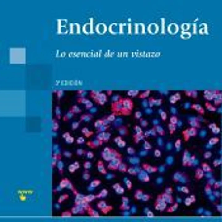 EL SISTEMA ENDOCRINO 1