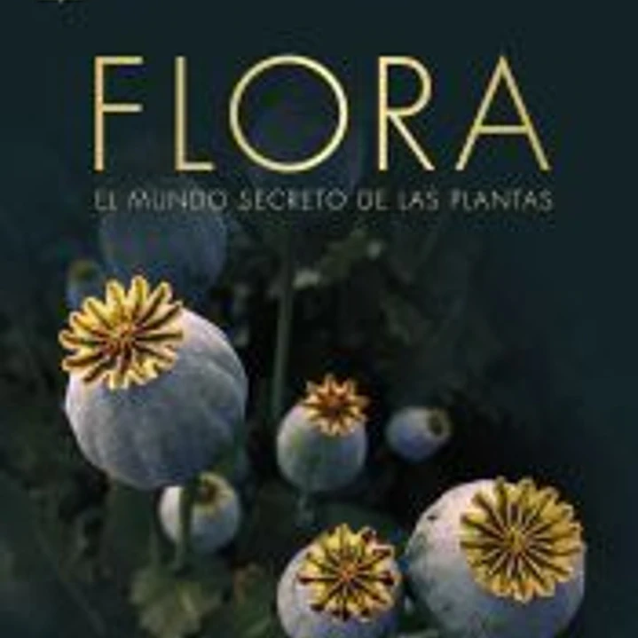 Flora Nueva edición 1