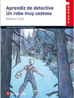 Aprendiz de detective. Un robo muy costoso