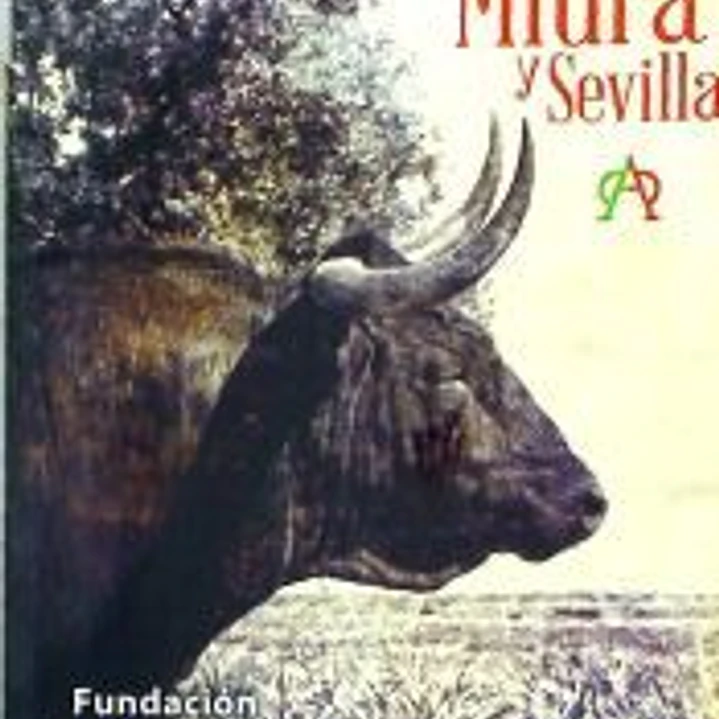 Miura y Sevilla 1