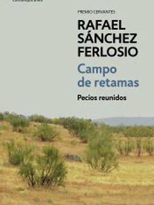 Campo de retamas