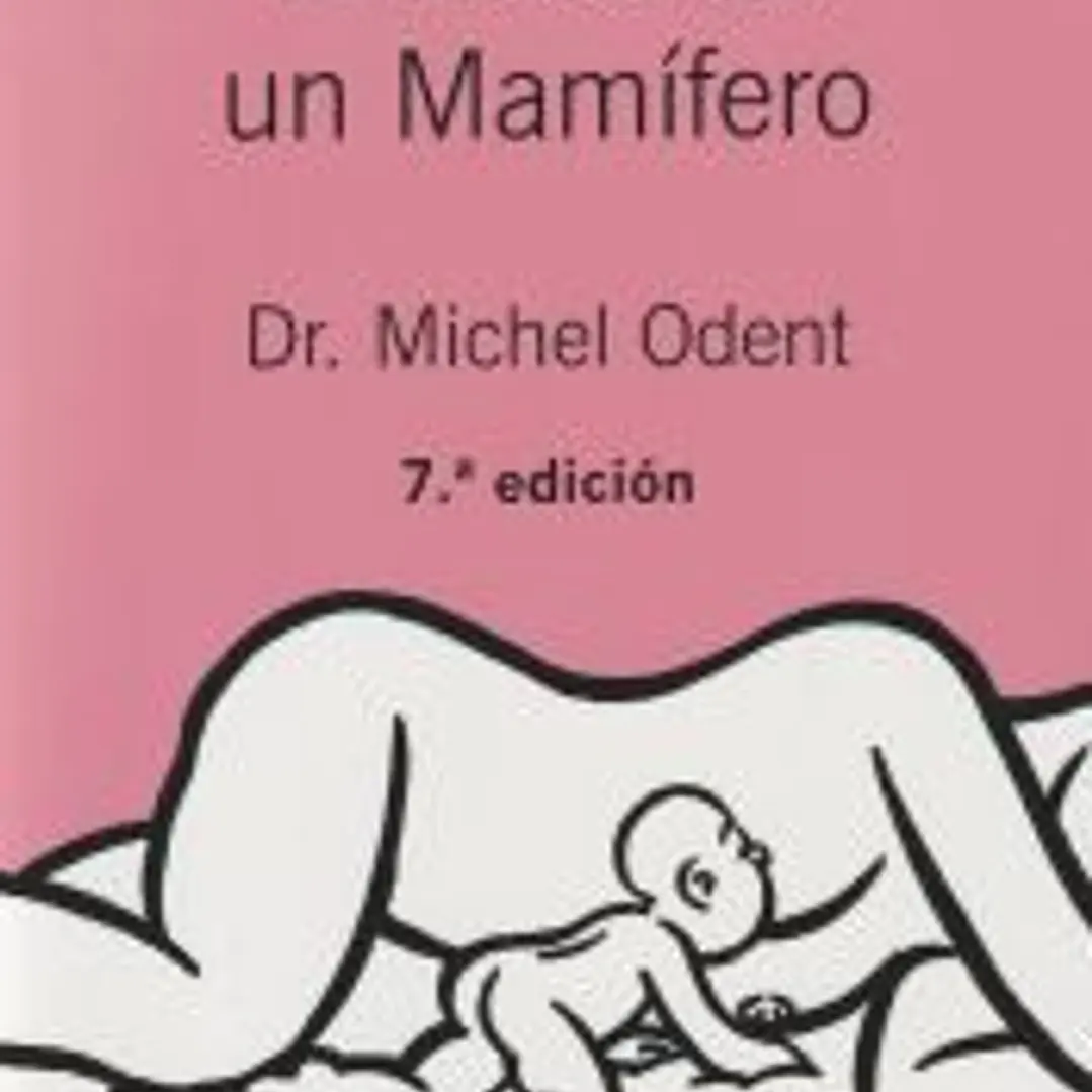 El bebé es un mamífero 1