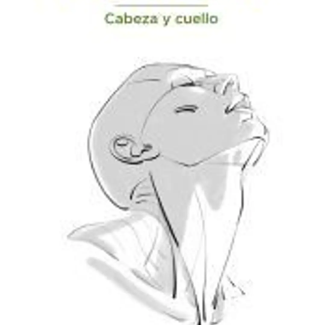 Anatomía artística 10 Cabeza y cuello 1