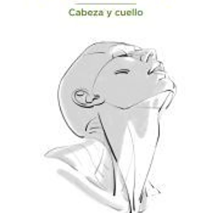 Anatomía artística 10 Cabeza y cuello 1