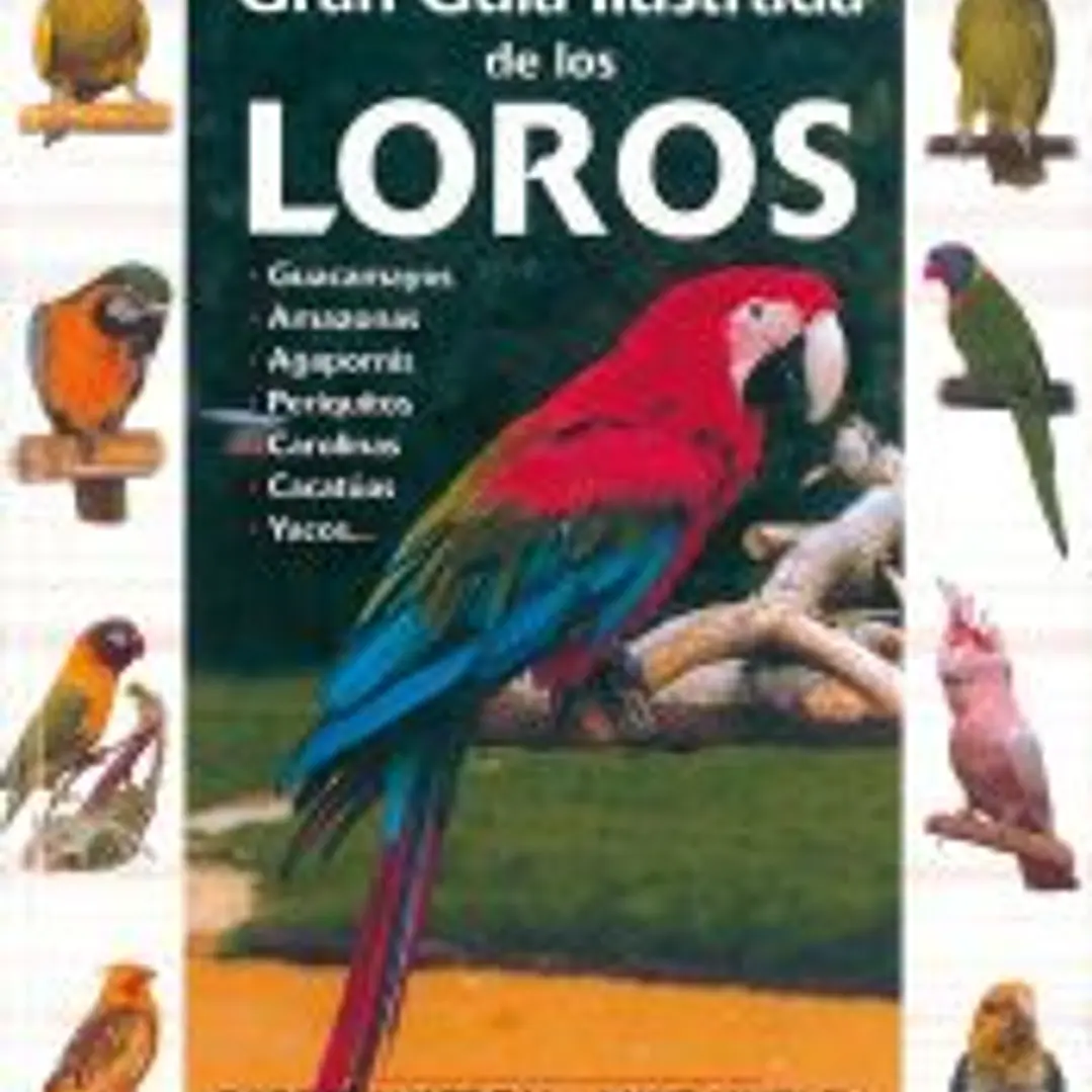 Grandes Guías De Animales. Guía ilustrada de los loros 1