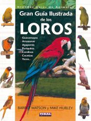 Grandes Guías De Animales. Guía ilustrada de los loros