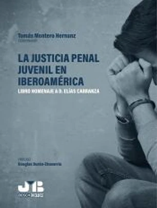 La justicia penal juvenil en Iberoamérica