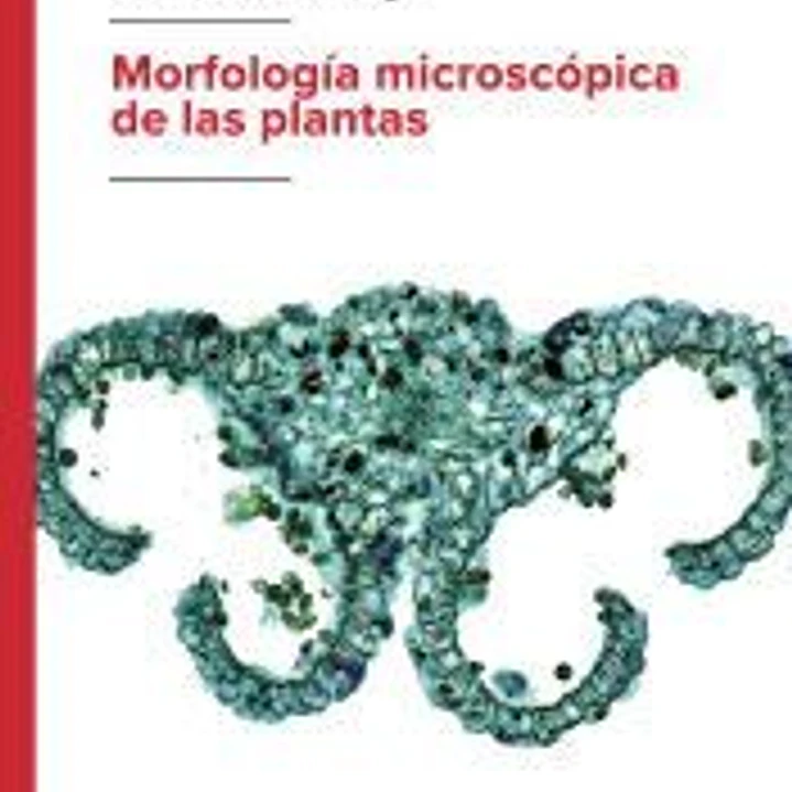 Morfología microscópica de las plantas 1