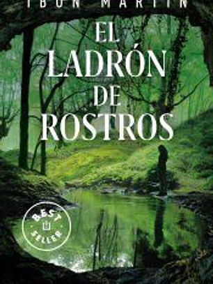 El ladrón de rostros (Inspectora Ane Cestero 3)