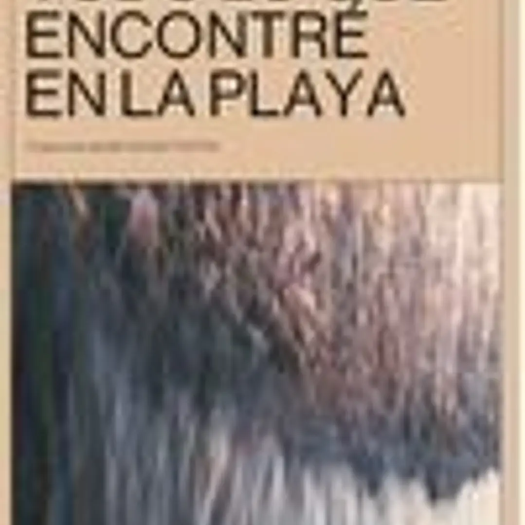 Todo lo que encontré en la playa 1