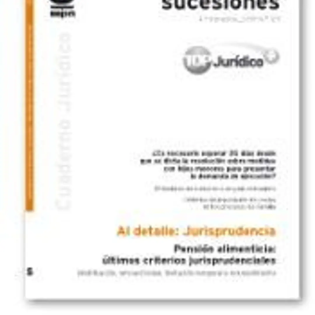Pensión alimenticia: últimos criterios jurisprudenciales. Modificación, retroactividad, limitación e incumplimiento 1