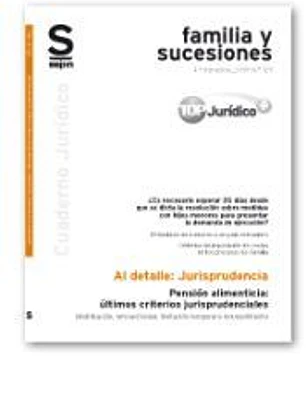 Pensión alimenticia: últimos criterios jurisprudenciales. Modificación, retroactividad, limitación e incumplimiento