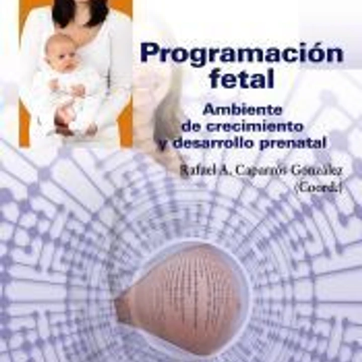 Programación fetal 1