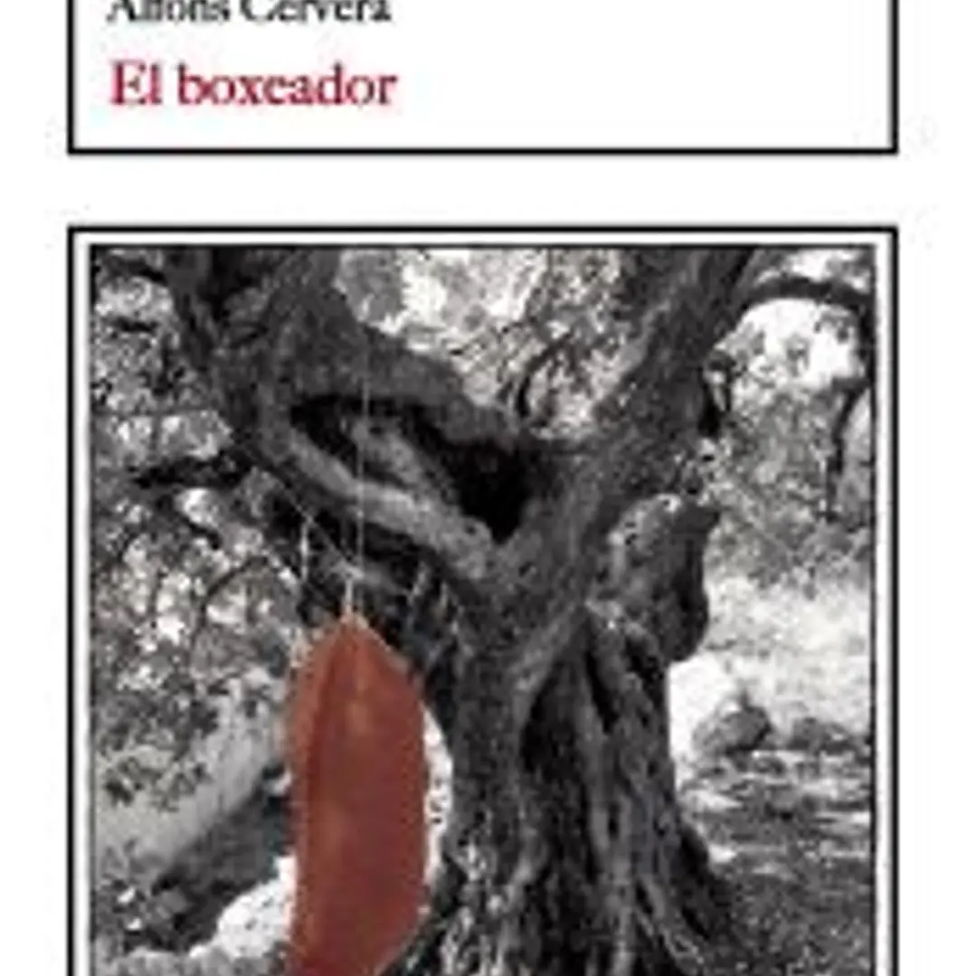 El boxeador 1