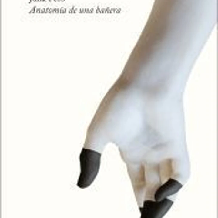 Anatomía de una bañera 1