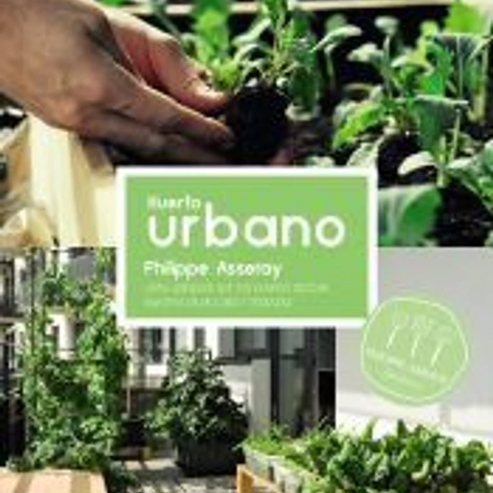 Huerto urbano 1