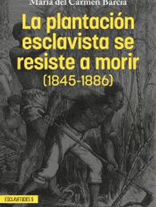 La plantación esclavista se resiste a morir (1845-1886)