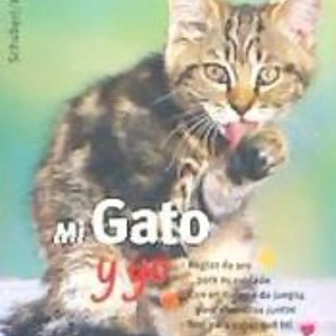 Mi gato y yo 1