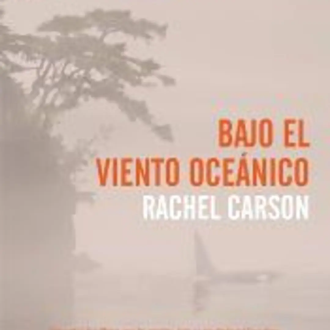 BAJO EL VIENTO OCEÁNICO 1