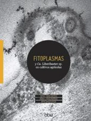 Fitoplasmas y Ca. Liberibacter sp. en cultivos agrícolas