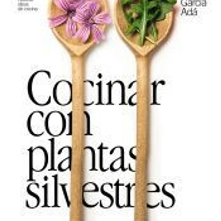 Cocinar con plantas silvestres 1