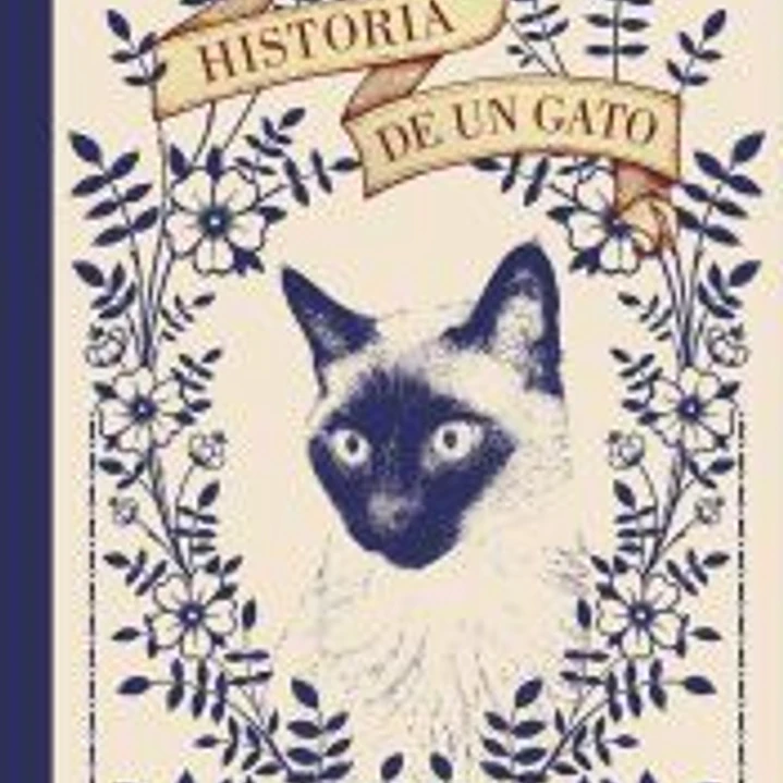 Historia de un gato 1