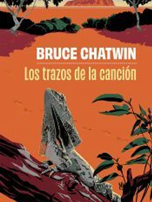 Los trazos de la canción