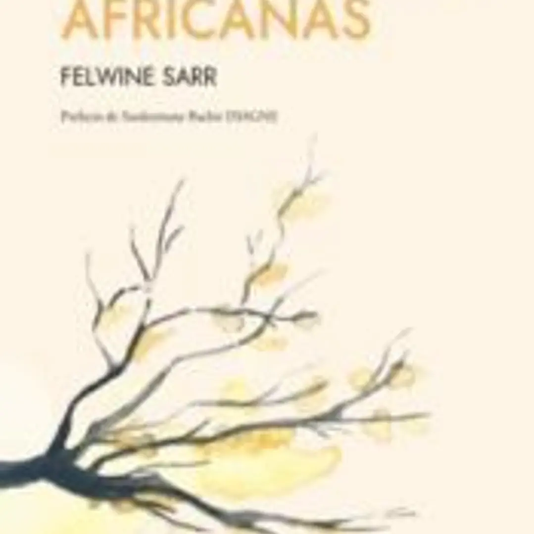 Meditaciones africanas 1