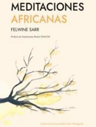 Meditaciones africanas