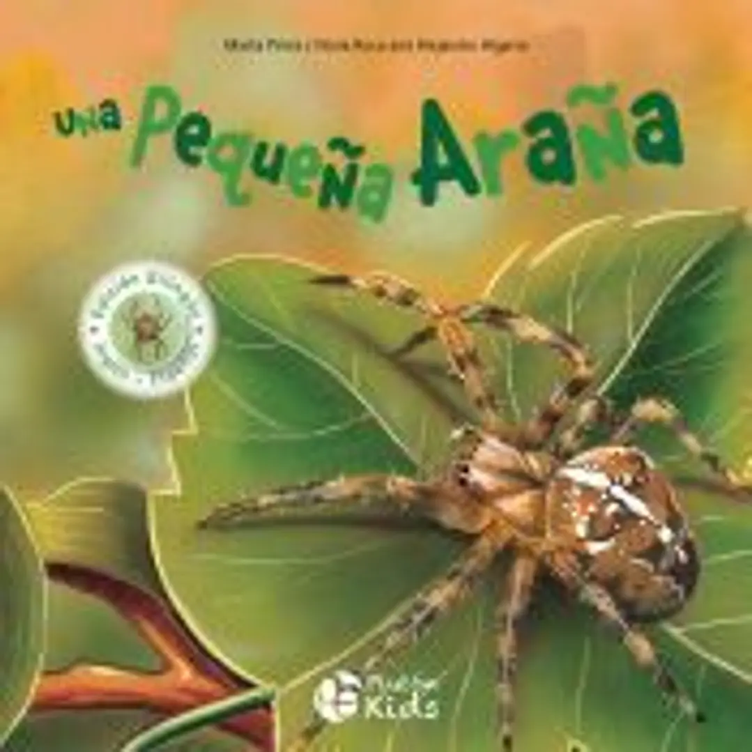 UNA PEQUEÑA ARAÑA 1